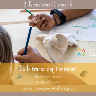 Laboratori didattici 21-28 febbraio 7-14-21-28 marzo