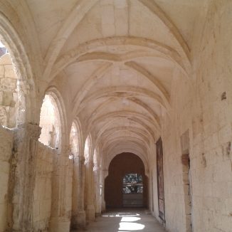 Visite guidate San Francesco – 24 ottobre